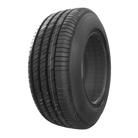 215-50 R17 95 V Maxtrek Maximus M2