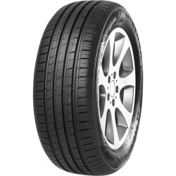 145-80 R13 75 T Minerva 209