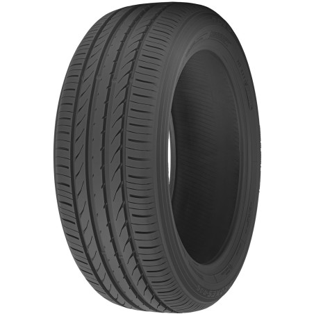 225-55 R19 99 V Toyo Proxes R46 (tl)