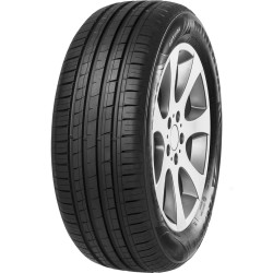 215-60 R16 99 V Minerva F209 Xl