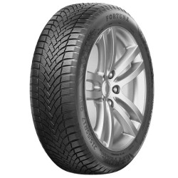 245-45 R18 100 V Austone Nivalis Winter Pro