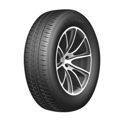 205-60 R15 91 V Goodtrip Gp-16