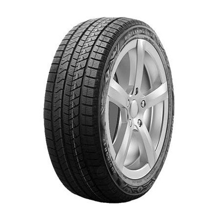 205-55 R17 95 T Double Star Winterking Dw16
