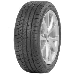 205-55 R17 95 V Davanti Wintoura+