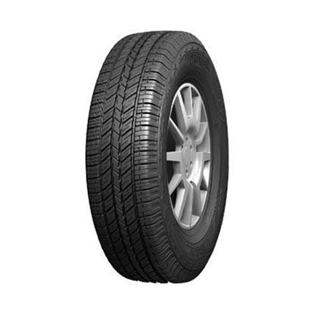 245-65 R17 107 S Evergreen Es82