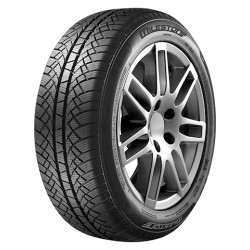 185-65 R15 88 T Milestone Mw01