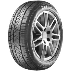 275-40 R20 106 V Autogreen Winter-max A1 Wl5