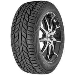 225-55 R18 98 T Cooper Weather-master Wsc