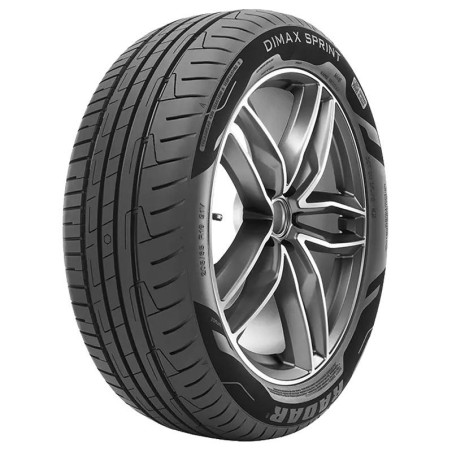 195-55 R20 95 H Radar Dimax Sprint