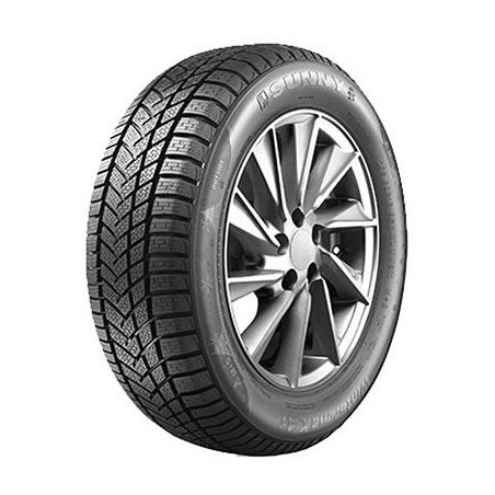 245-45 R19 102 V Sunny Wintermax Nw211