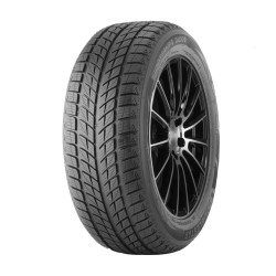 255-55 R20 110 H Double Star Dw09