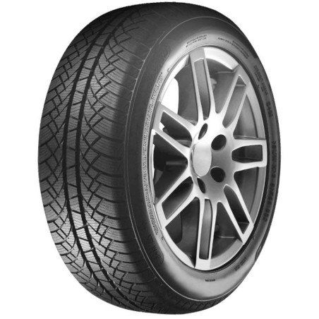 205-65 R15 94 T Sunny Wintermax Nw611