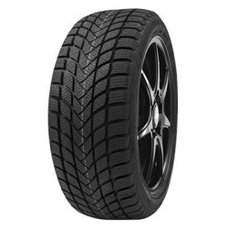 185-55 R15 82 H Delinte Wd6
