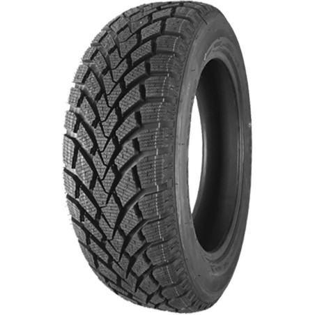 215-50 R17 95 H Delmax Snow Hunter