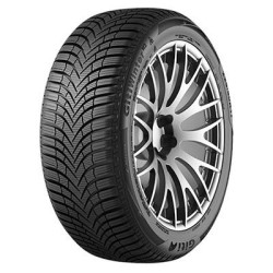 255-40 R20 101 W Giti Winter W2