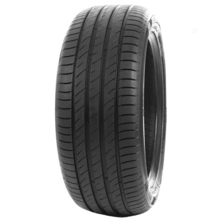 225-40 R19 93 W Delinte Ds2xl