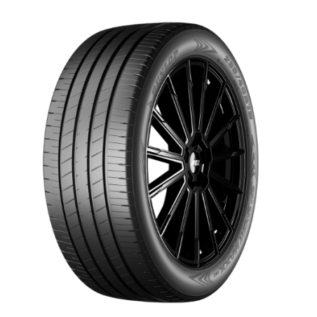 245-40 R21 96 Y Dunlop Sp Sport Maxx 060