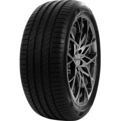 255-40 R20 101 Y Delinte Ds2xl