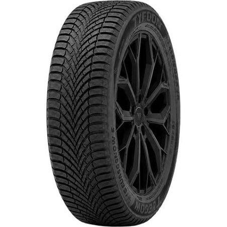 245/45 R19 102 W Tyfoon Eurosnow5