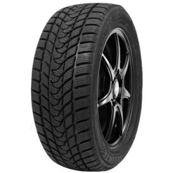 195/65 R15 91 H Delinte Wd 1