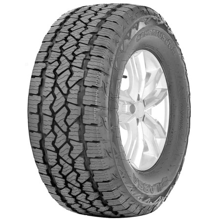 255-65 R17 110 T Lassa Competus A-t 3